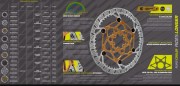 TARCZA HAMULCOWA GALFER SHARK EVO RAW 6 BOLTS 223x2mm DB144FLWV