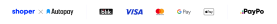 payment methods: Visa, mastercard, paypay, google pay, apple pay